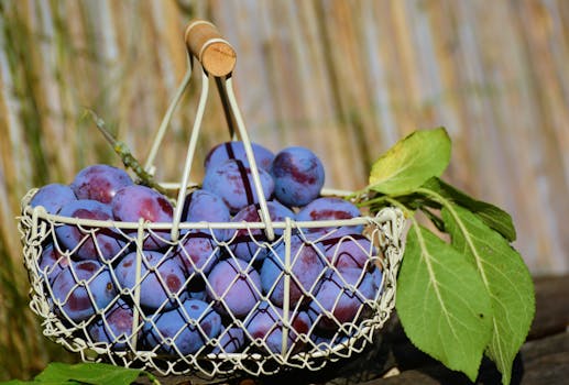 Close-up of fresh, ripe plums in a wire basket with leaves, against a natural background.