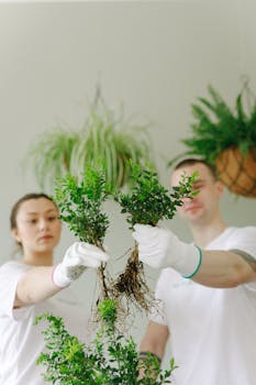 pexels-photo-7655647-7655647 Two young adults wearing gloves hold small plants, promoting green living and volunteerism.