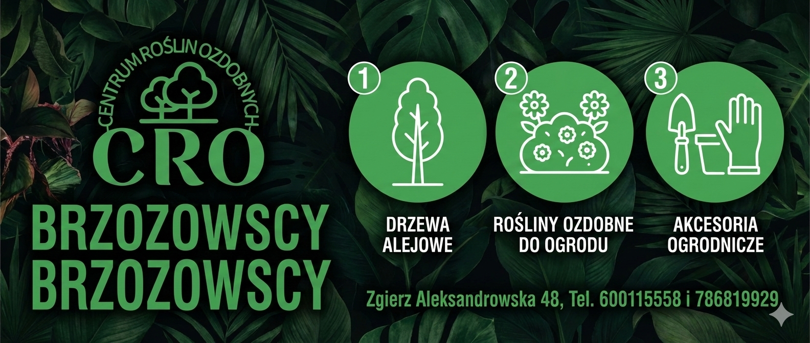 Czerwcowe upały bez stresu: jak zadbać o rośliny ozdobne, podłoże, nawożenie i podlewanie – bez zgadywania