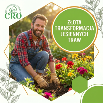 Home – CRO