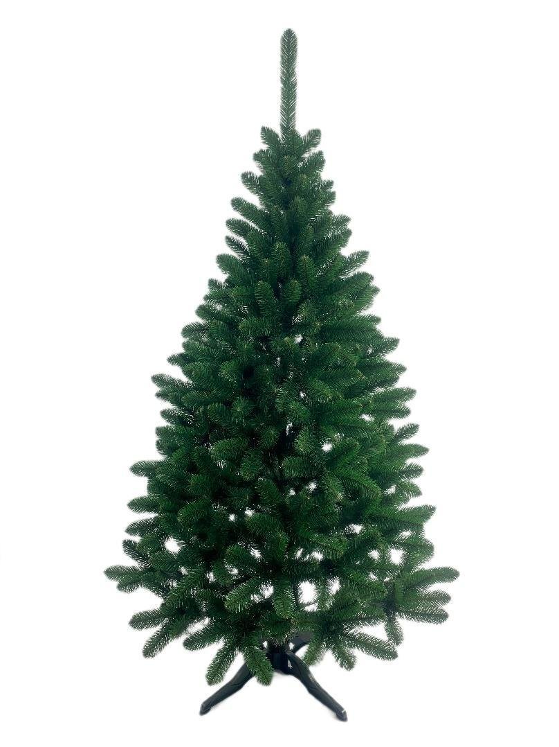 Jodła Prima