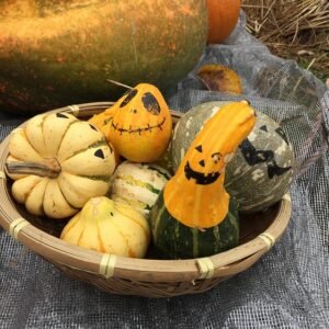 Dynia na Halloween – pomysły, inspiracje i kolorowanki do druku